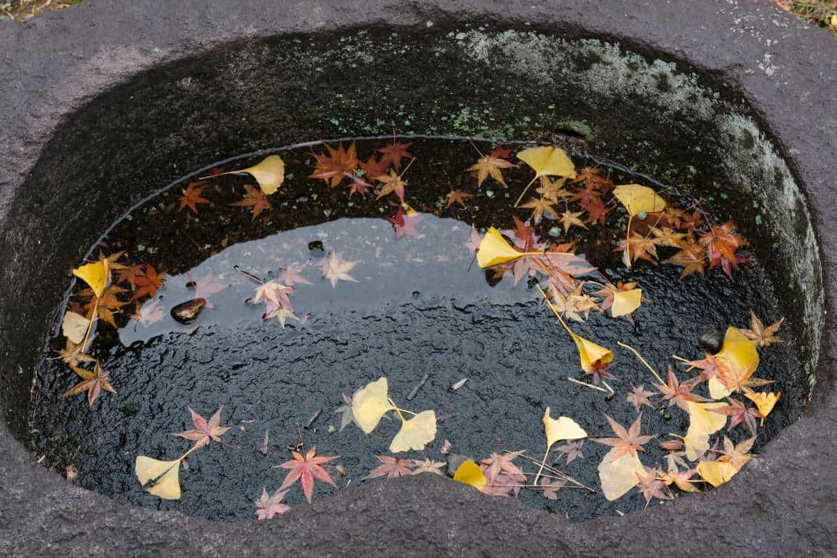 Takada teramachi 7
