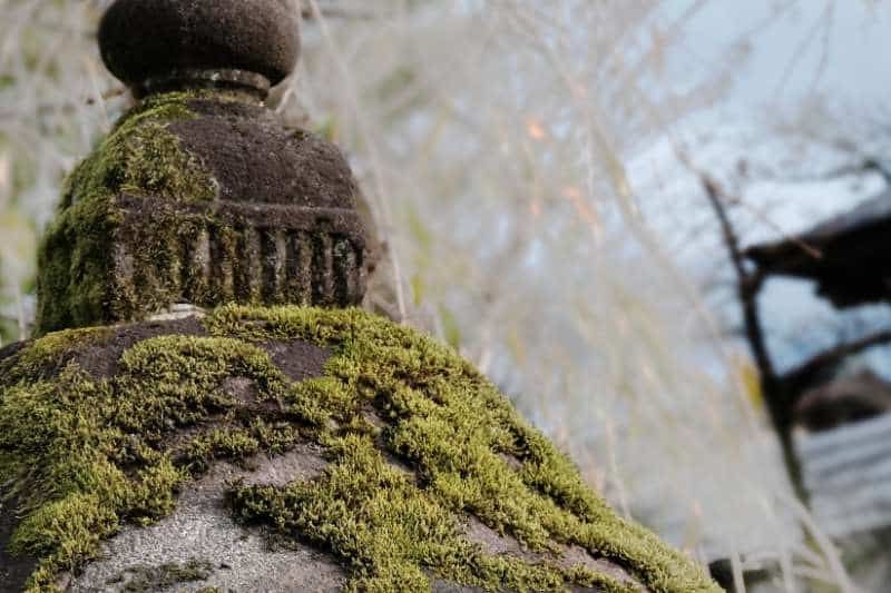 Takada teramachi temples 1