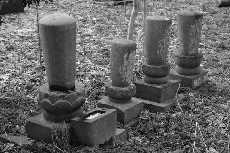 Takada teramachi temples 3