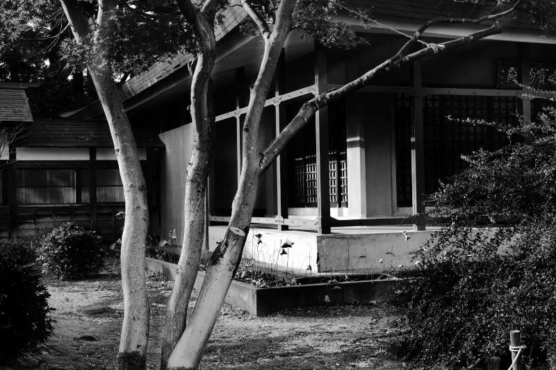 Takada teramachi temples 7
