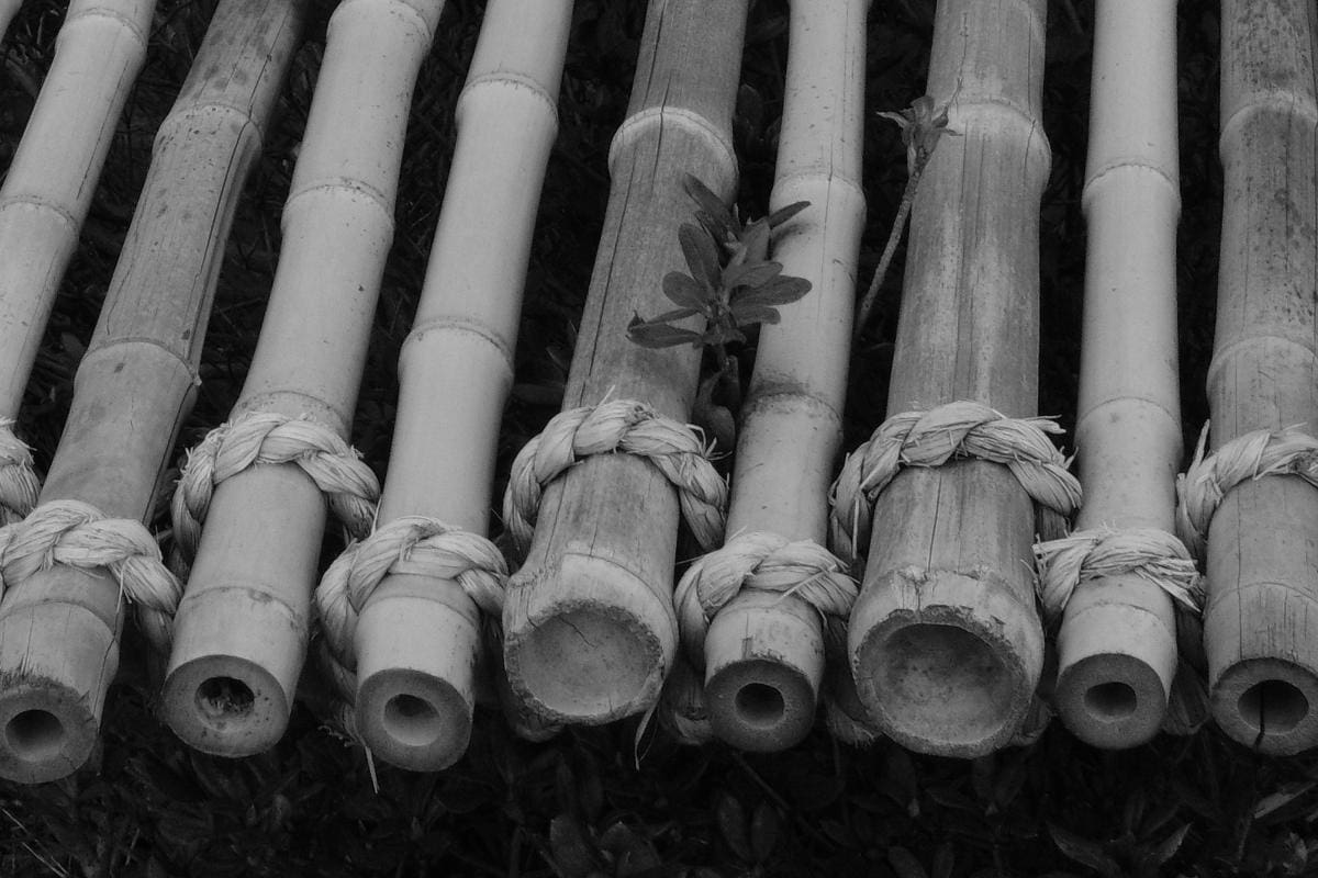 Teramachi temple grounds 7