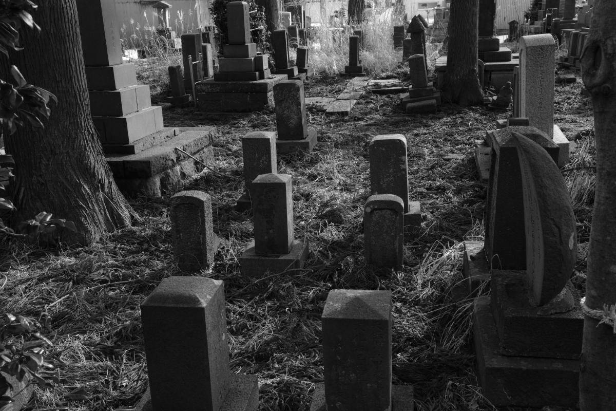 Teramachi temple grounds 9